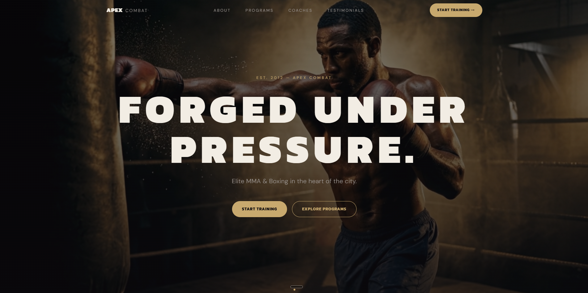 APEX Combat — site concept for an elite MMA and boxing gym