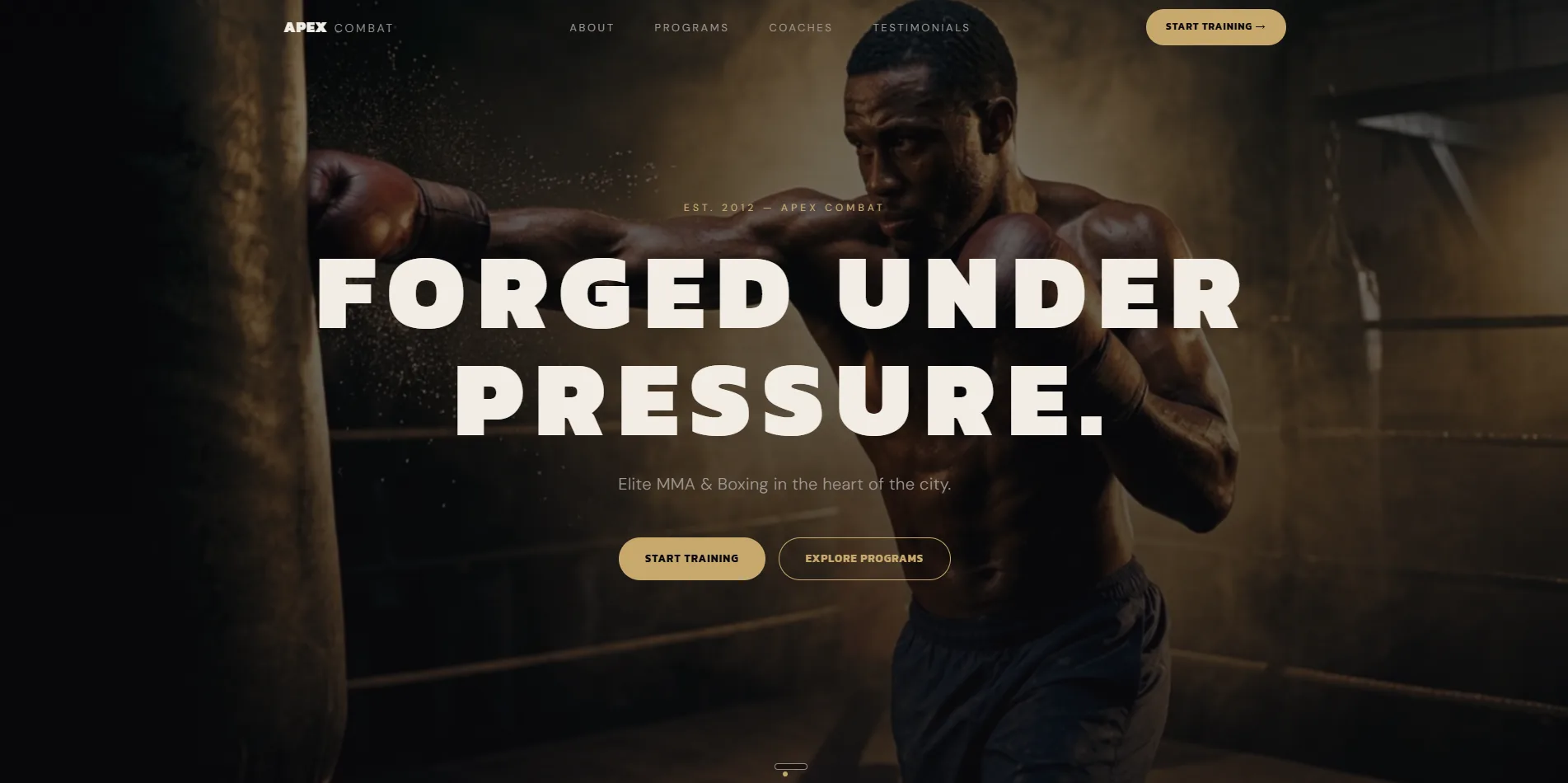 APEX Combat — site concept for an elite MMA and boxing gym